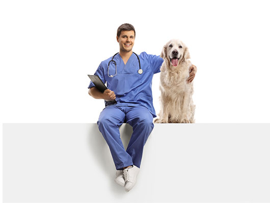 Veterinarian-in-a-blue-uniform
